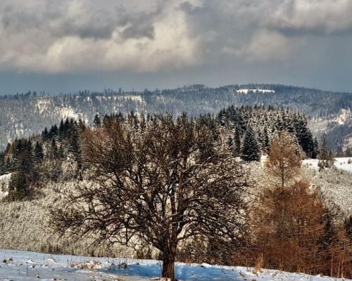 Działka do zabudowy w ciekawym miejscu