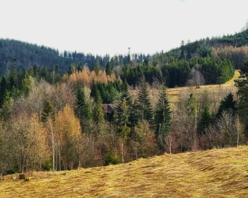 Działka do zabudowy w ciekawym miejscu