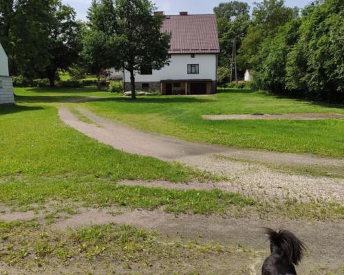 Siedlisko Przerwanki na Szlaku Wielkich Jezior - 1,9 ha terenu + 6-7 budynków