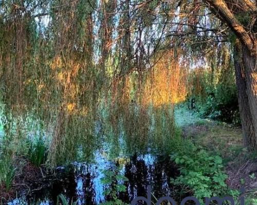 Przestronny dom z ogrodem i stawem