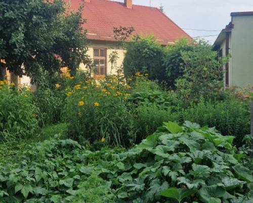 Dom z dużym ogrodem, garażem i budynkiem letnim