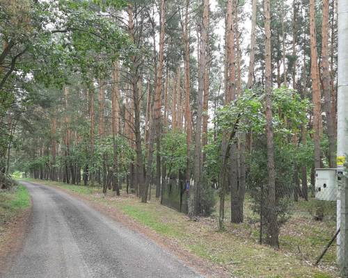 Dom z bali drewnianych + działka 6 000 m2 , BEZPOŚREDNIO, DO NEGOCJACJI