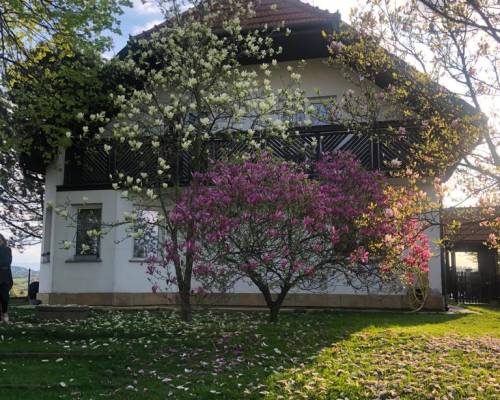 Komfortowy dom z 2 garażami i ogrodem Nowy Sącz