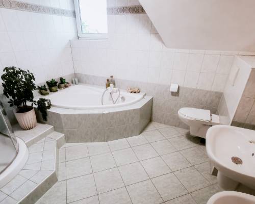 Komfortowy dom z 2 garażami i ogrodem Nowy Sącz